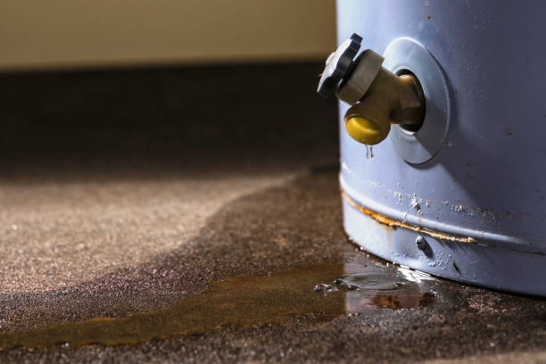 Best 24-hour water damage restoration  in North Palm Beach, FL