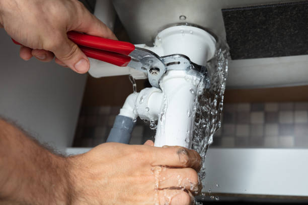 Best Water damage restoration mold remediation  in North Palm Beach, FL