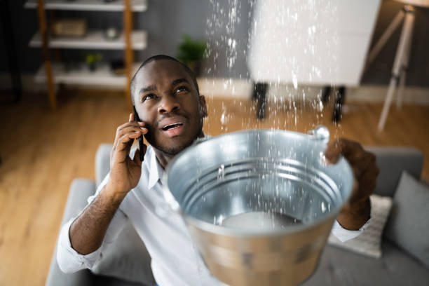 Best Water damage restoration near me  in North Palm Beach, FL
