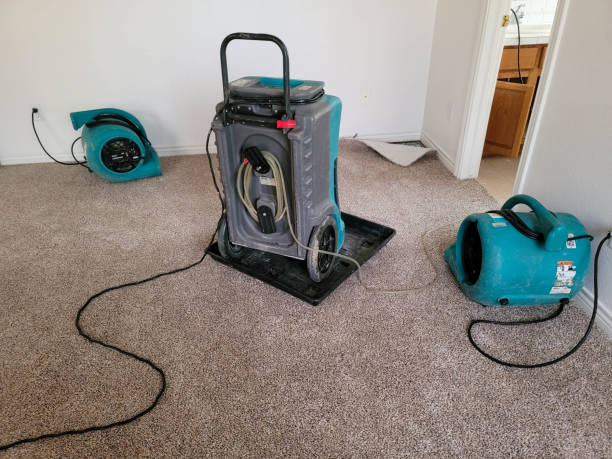 Best Water damage restoration cost  in North Palm Beach, FL