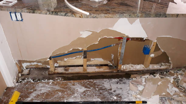 Best Water damage restoration specialists  in North Palm Beach, FL