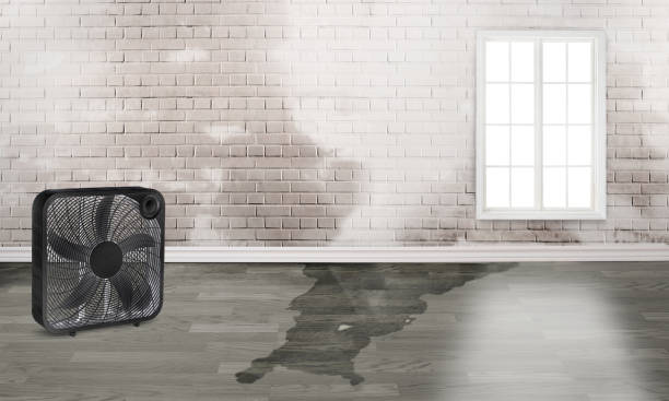 Best Flood restoration services  in North Palm Beach, FL