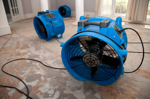 Best Ceiling water damage repair  in North Palm Beach, FL