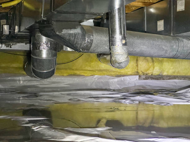 Best Water damage contractors near me  in North Palm Beach, FL