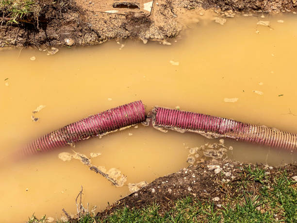 Best Local water damage restoration  in North Palm Beach, FL