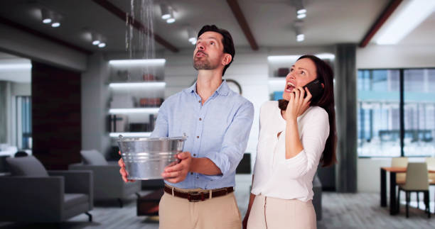 Best Ceiling water damage repair  in North Palm Beach, FL