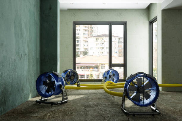 Best Residential water damage restoration  in North Palm Beach, FL