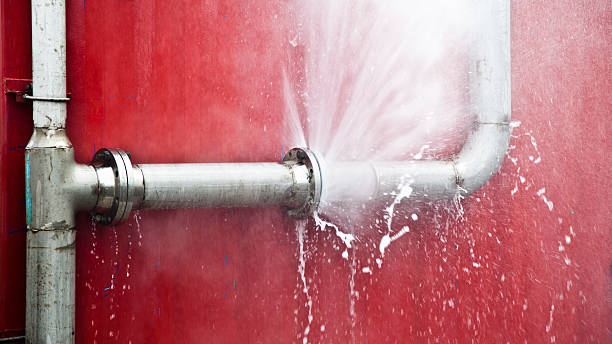 Best Ceiling water damage repair  in North Palm Beach, FL