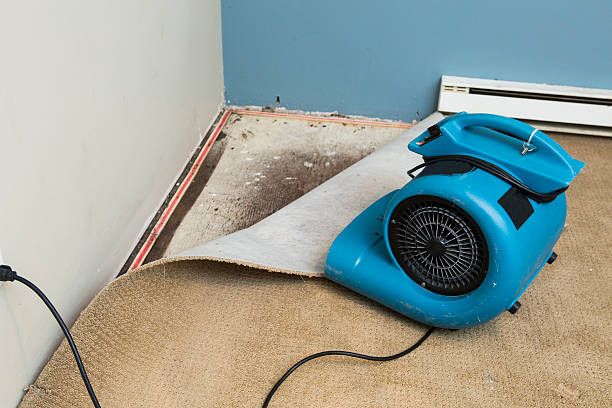 Best Water damage restoration near me  in North Palm Beach, FL